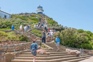 Cape Town: CAPE OF GOOD HOPE AND PENGUINS PRIVATE FULL DAY.