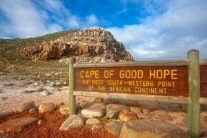 Cape Town: Cape Peninsula and Penguins Full-Day Tour