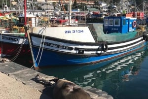 Cape Town: Cape Peninsula and Penguins Full-Day Tour