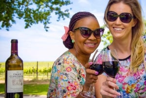 Cape Town City Pass: Save Over 50% on 80+ Top Attractions