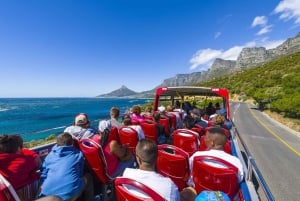 Cape Town City Pass: Save Over 50% on 80+ Top Attractions