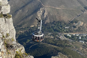 Cape Town: Private City Tour with Local Tour Guide