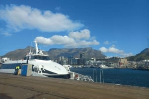 Cape Town: Private Robben Island Half-Day Tour with Pickup