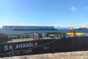 Cape Town: Private Robben Island Half-Day Tour with Pickup
