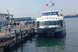 Cape Town: Private Robben Island Half-Day Tour with Pickup