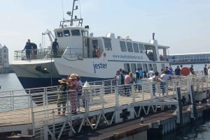 Cape Town: Private Robben Island Half-Day Tour with Pickup