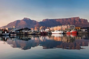 Cape Town: Robben Island, District Six, and Mandela Tour