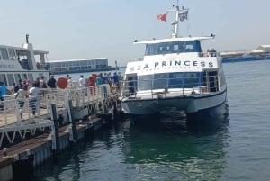 Cape Town: Robben Island, District Six, and Mandela Tour