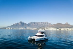 Cape Town: Scenic 1-Hour Coastal Catamaran Cruise