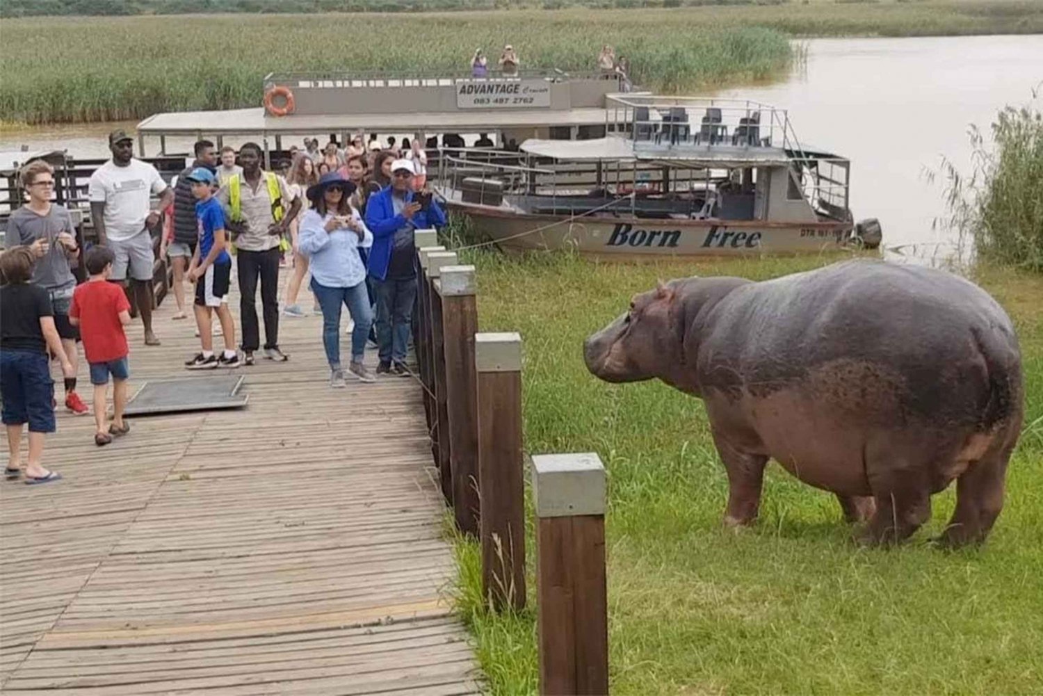 Excursión de Ciudad del Cabo a Durban: Ruta Jardín y Costa Salvaje de 7 días