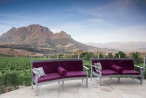 Tournée des vins du Cap (Paarl, Stellenbosch et Franschhoek)