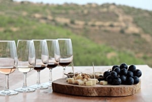 Tournée des vins du Cap (Paarl, Stellenbosch et Franschhoek)