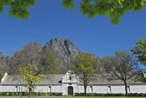 Tournée des vins du Cap (Paarl, Stellenbosch et Franschhoek)