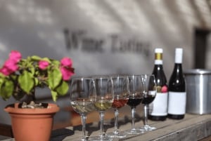 Tournée des vins du Cap (Paarl, Stellenbosch et Franschhoek)
