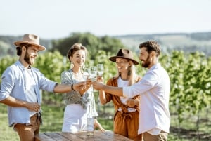 Tournée des vins du Cap (Paarl, Stellenbosch et Franschhoek)