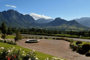 Tournée des vins du Cap (Paarl, Stellenbosch et Franschhoek)
