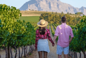 Tournée des vins du Cap (Paarl, Stellenbosch et Franschhoek)