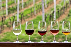 Tournée des vins du Cap (Paarl, Stellenbosch et Franschhoek)