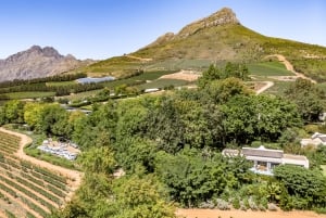 Tournée des vins du Cap (Paarl, Stellenbosch et Franschhoek)