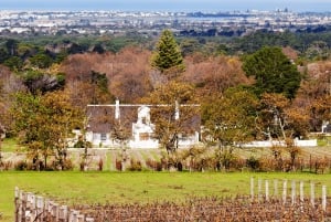 Tournée des vins du Cap (Paarl, Stellenbosch et Franschhoek)
