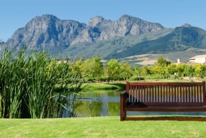 Tournée des vins du Cap (Paarl, Stellenbosch et Franschhoek)