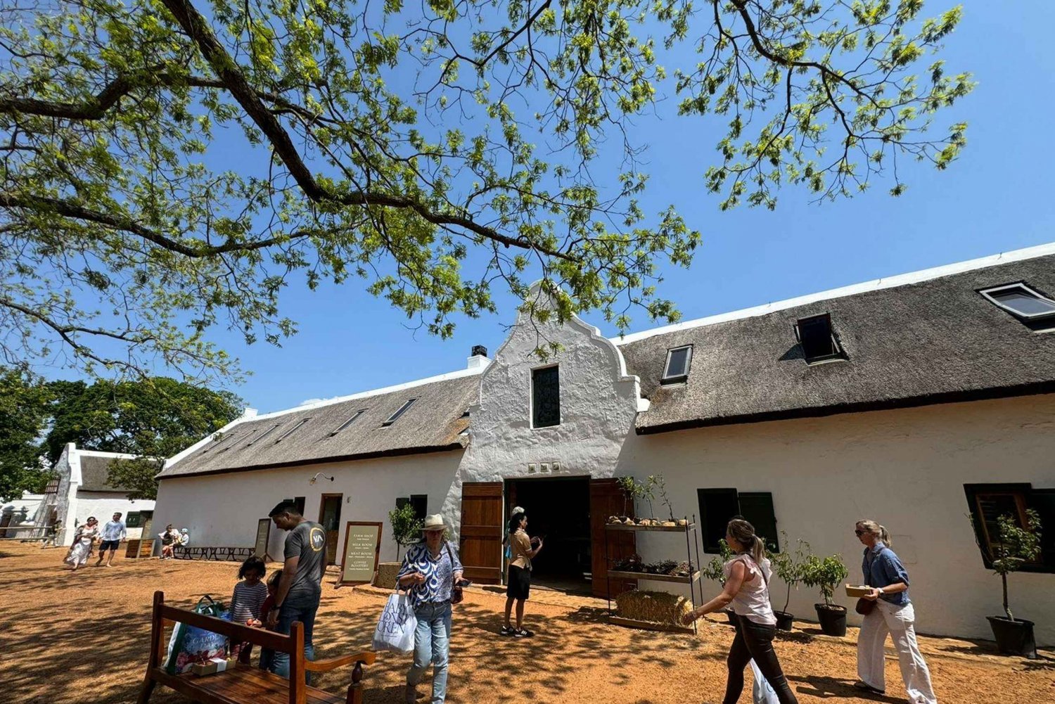 Tierras del Vino del Cabo: Tour privado personalizable de cata de vinos