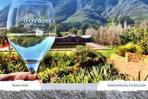 Cape Winelands: Yksityinen koko päivän viinikierros