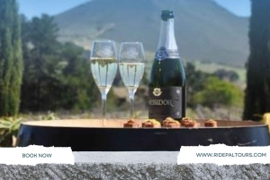 Cape Winelands: Yksityinen koko päivän viinikierros