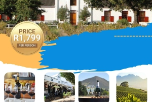 Cape Winelands: Yksityinen koko päivän viinikierros