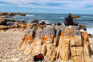 Прибрежная пешеходная тропа Сакраменто: Порт-Элизабет