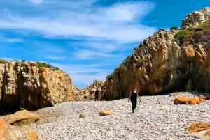 Прибрежная пешеходная тропа Сакраменто: Порт-Элизабет