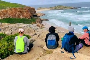 Прибрежная пешеходная тропа Сакраменто: Порт-Элизабет