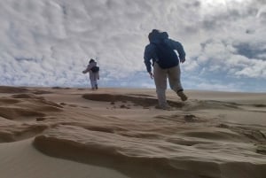 Прибрежная пешеходная тропа Сакраменто: Порт-Элизабет