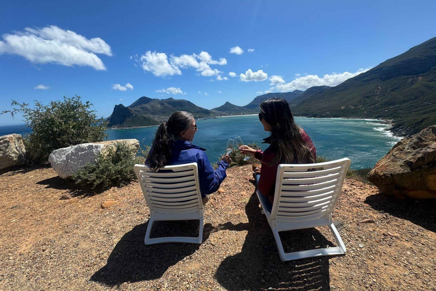Private Cape Peninsula Tour, Penguins, Cape Point & more...