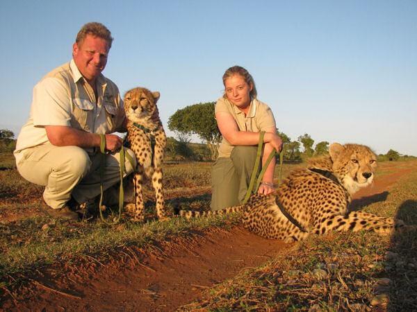 Daniell Cheetah Breeding Project