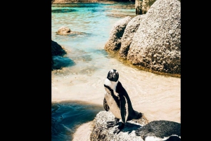Discover Cape Town: A Luxurious 6-Day Tour Package
