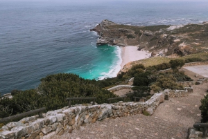 Discover Cape Town: A Luxurious 6-Day Tour Package