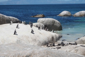 Discover Cape Town: A Luxurious 6-Day Tour Package