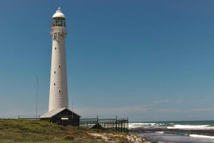 Discover Cape Town: A Luxurious 6-Day Tour Package