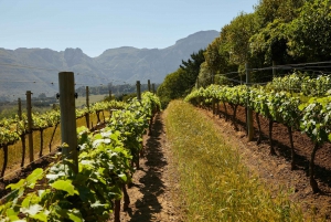 Discover Cape Town: A Luxurious 6-Day Tour Package