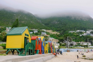 Discover Cape Town: A Luxurious 6-Day Tour Package