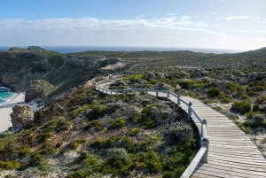 Discover Cape Town: A Luxurious 6-Day Tour Package