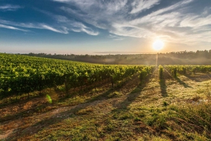 Discover Cape Town: A Luxurious 6-Day Tour Package