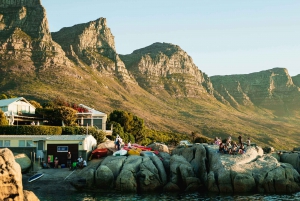 Discover Cape Town: A Luxurious 6-Day Tour Package