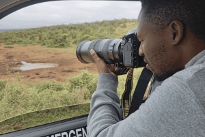 Leste de Londres: Addo e Schotia Safari - Excursão de 2 dias