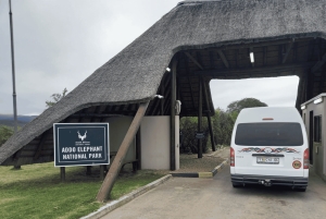 Oost-Londen: Addo en Schotia Safari 2-Daagse Tour