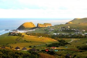 East London: Transkei Cultural Tour with Ferry Crossing