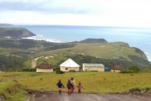 East London: Transkei Cultural Tour with Ferry Crossing