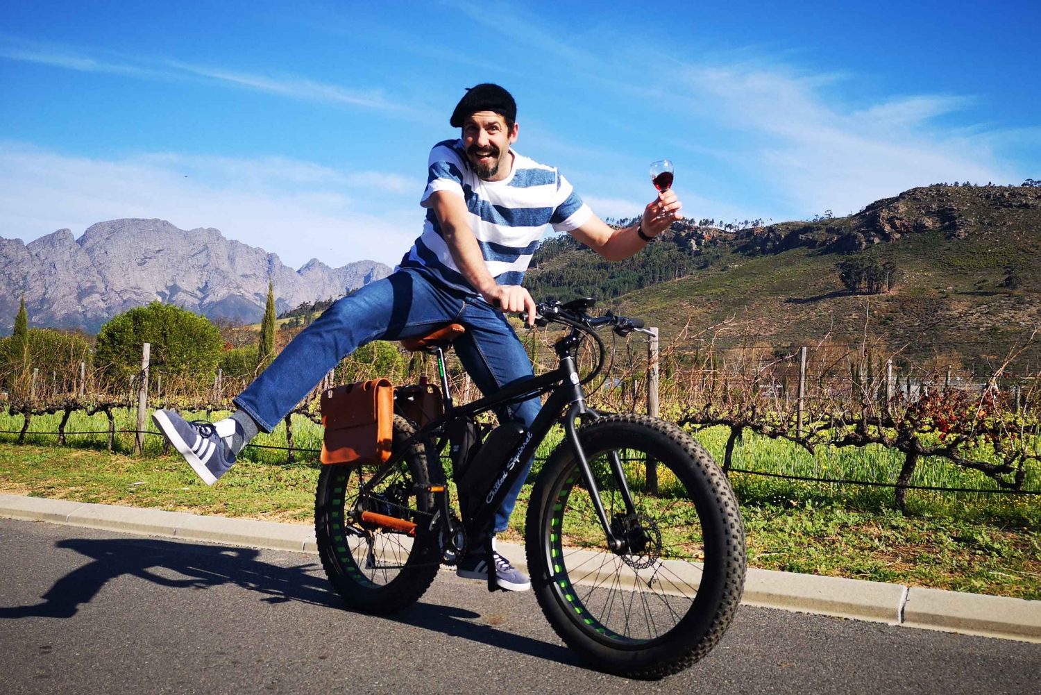 Franschhoek: E-Bike Guided Winery Tour