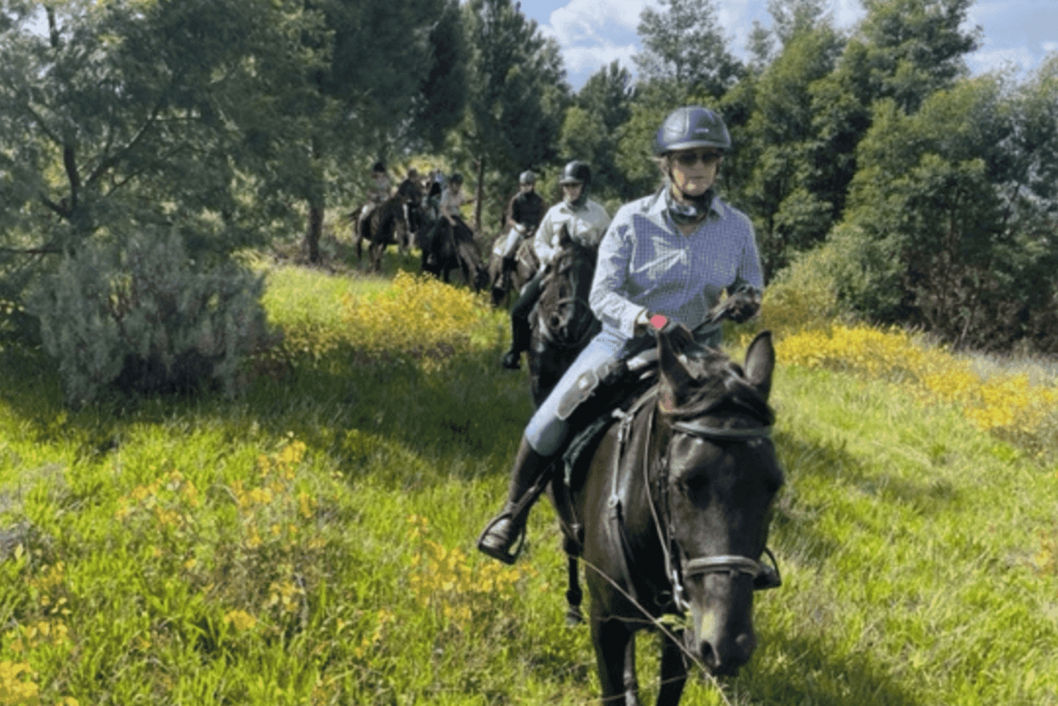 Franschhoek: Full-Day Horseback Riding and Wine Tasting Tour